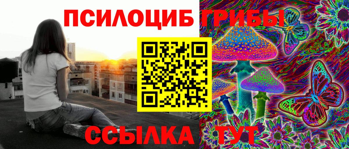 Галлюциногенные грибы прущие грибы  Вход с VPN  Галлюциногенные грибы мухоморы  Горно-Алтайск 